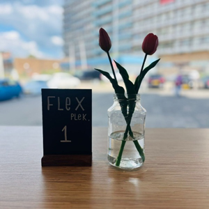 Co-Working Desk (incl desktop)